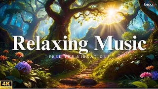 Relaxing Music : Feel The Nature | Calm Music | Meditation Music | Study Music | Sleeping Music