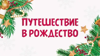 Путешествие в Рождество | Христианские рассказы | Благая весть Дети