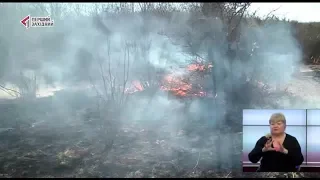 ОЧІ. ТИЖДЕНЬ. 09.03.2019. Перший Західний