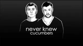 Cucumbers - "Never Knew"