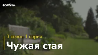 Чужая стая - 3 сезон 1 серия - #Сериал онлайн подкаст подряд, дата выхода