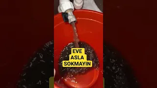 Herkes Petek Temizliği Yapmasın