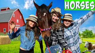 Horses for Kids w/ The Wild Adventure Girls!  All About Horses for Kids