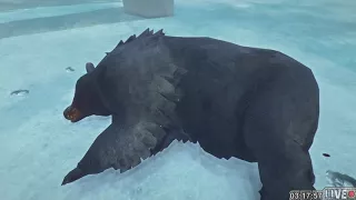 The Long Dark - La fin de l'OURS!