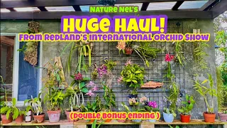 One of my greatest orchid hauls in a long time! This one’s for the records. Get ready! Bonus ending.