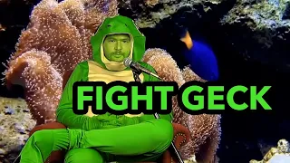 FIGHT GECK - Therapy Gecko Highlights