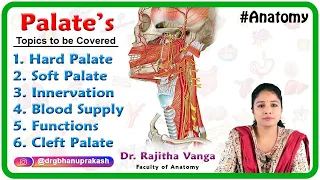 Anatomy of Palate: Hard palate, Soft palate, Innervation, Blood supply, Functions, Cleft palate