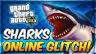 GTA 5 Glitches & Tricks - How To SPAWN SHARKS ONLINE! (Funny Secret Shark Glitch)