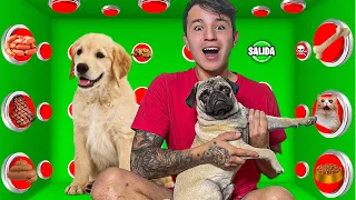 100 BOTONES MISTERIOSOS con MIS MASCOTAS! solo 1 PARA ESCAPAR