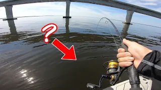 I HOOKED SOMETHING *BIG* AT THE BRIDGE & WAS *SHOCKED* WHEN THIS HAPPENED!