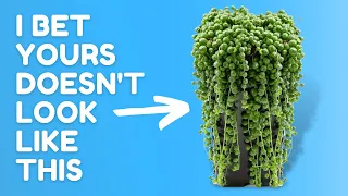 Stop Wasting Money on These Nightmare Plants