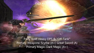 Final Fantasy XI: Dark Knight Guide