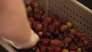 Removing Grapes from Stem