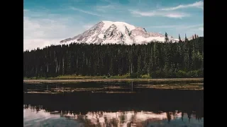 Teenager Has Bigfoot Experience And Encounter Outside Neilton, Washington