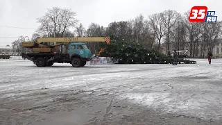 Новогодняя елка рухнула на площади Революции в Вологде