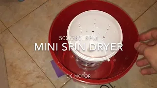 Mini spin dryer