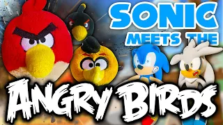 Sonic Meets the Angry Birds! - Sonic and Friends