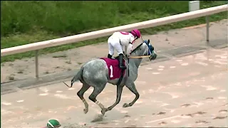 LAUREL PARK 05 05 2024 RACE 5