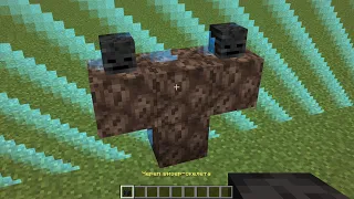 what if i spawn wither like this?
