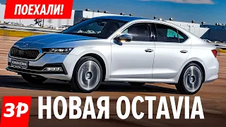 Шкода Октавия А8 российской сборки: брать или нет? / Skoda Octavia 2020 - почти Audi! Первый тест