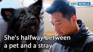 Ganjjajang's hidden side? 😲😲😲 [Dogs are incredible : EP.152-2] | KBS WORLD TV 230110