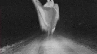 Real Ghost Videos 12 / Ghosts caught on cam / Transitus Fluviis