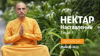 Нектар наставлений. Текст 3. Ватсала дас