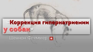 Гипернатриемия у собак. Hypernatremia in dogs