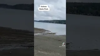 Illahee State Park Bremerton Washington