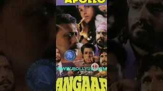 Angaar (1992 film) jackyshroff nanapatekar