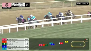 Laurel Park Carrera 5 - 25 de Noviembre 2022