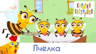 Пчёлка - КУРОЧКА-ПЕСТРУШКА мультики песенки для детей