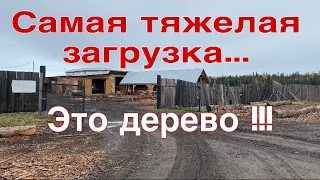 Дальнобой по России. Грузимся деревом. Попал у гололёд. Едем домой.