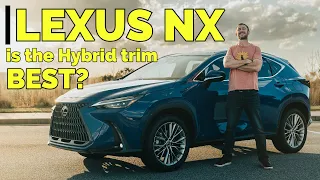 Which Lexus NX Trim is the Best? // Lexus NX 350h REVIEW