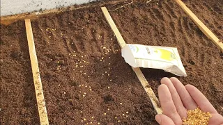 How to heat the seedlings to sprout easier?