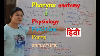 Pharynx anatomy & physiology in hindi || structure || functions || walls || parts