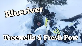 Snowbiking Blue River, BC | Treewells and fresh Pow