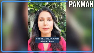 Tulsi Spreads Russian Propaganda, Gets Millions Of Views