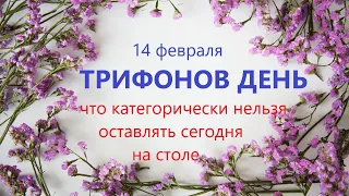 14 февраля народный праздник ТРИФОНОВ ДЕНЬ. Что нельзя делать. Народные традиции и приметы