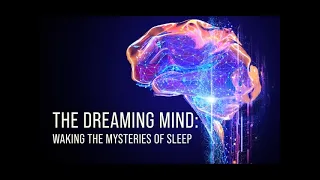 What Do Our Brains Do When We're Dreaming?