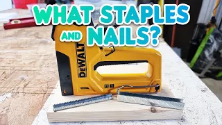 What Staples And Brad Nails To Use In The DeWALT Staple Gun