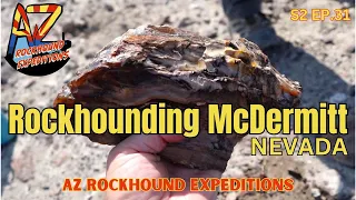 Rockhounding McDermitt Nevada S2 EP31