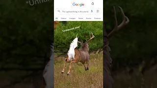 “The ugliest thing”#funny #memes #viral #hunting #animals #fypシ