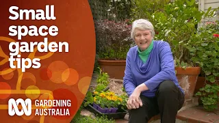 Planning tips for inner city courtyard and small space gardens | Garden Design | Gardening Australia