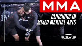 MMA | An Introduction To Clinching In MMA