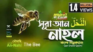 16) সূরা নাহল - Surah An-Nahl (bee) | سورة النحل অনুবাদ | Qari Shakir Qasmi | mahfuz art of nature