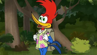 Il est temps de faire une aventure! | Woody Woodpecker | WildBrain en Francais