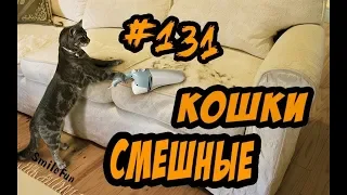 ПРИКОЛЫ С КОТАМИ И КОШКАМИ СМЕШНЫЕ КОТЫ И КОШКИ 2018 Funny Cats