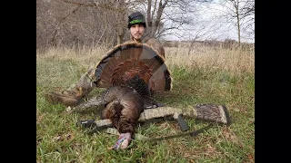 Turkey hunting Iowa Gobbler