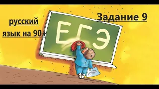 егэ русский 2024 задание 9